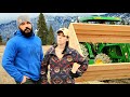 They FORCED Us Into PLAN B | Building Our Own Home In The Mountains