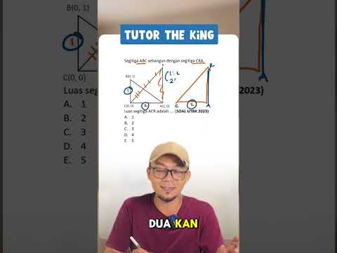 KING TUTOR SHORTS