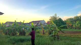 Bara Masoud Aisyah Istri Rasulullah