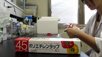 【iGEM2011】Tokyo_Metroporitan Safety Video