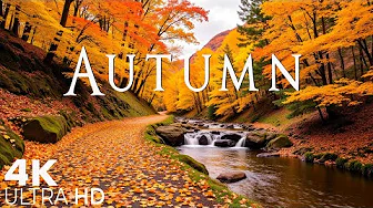 4K Cozy Autumn Vibes, Enchanting Autumn Forests 🍁 With Beautiful Piano Music & Fall Foliage