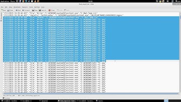Part 1 - Understanding the Traffic Pattern of Ghost RAT