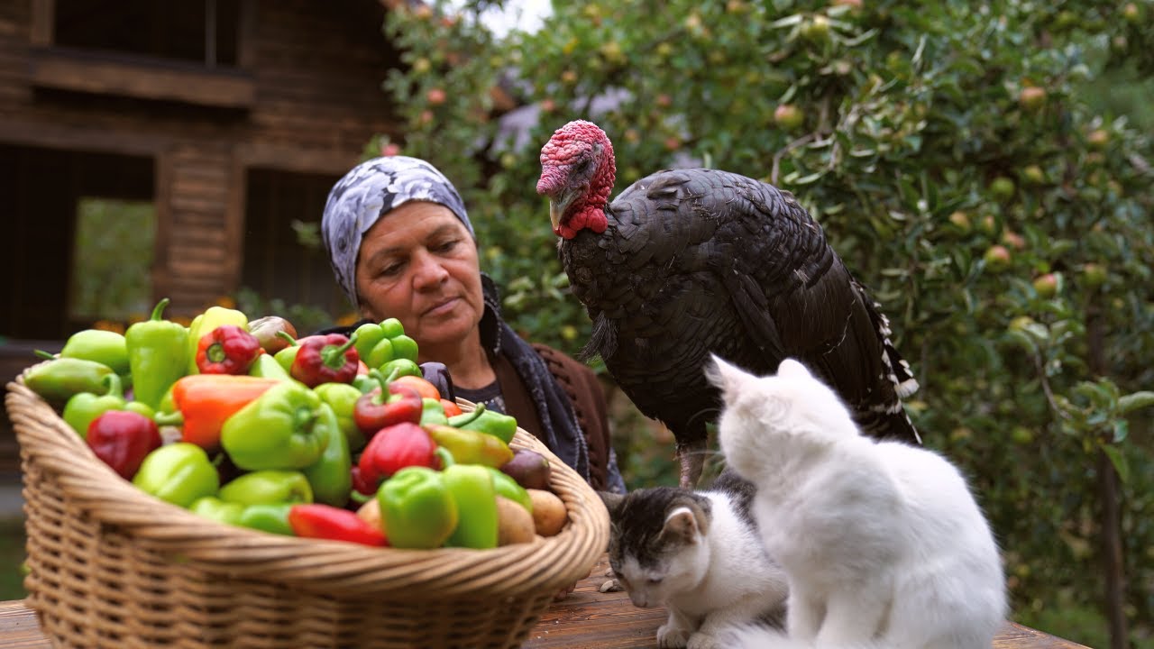 Cooking Turkey with Vegetables, Village Cooking, Turkey Kabobs