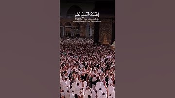 وأذن في الناس بالحج يأتوك رجالا وعلى كل ضامر يأتين من كل | الآية 27 من سورة الحج #القرآن_الكريم
