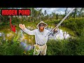 I Found a HIDDEN POND on My Property (LOADED w/ Fish!!!)