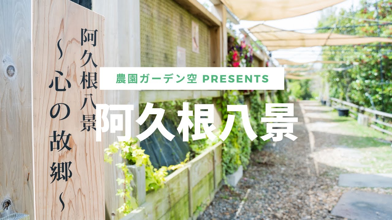 農園ガーデン空 阿久根八景 心の故郷 1st Season Web Cm Youtube 農園ガーデン空 阿久根八景 心の故郷 1st Season Web Cm Youtube