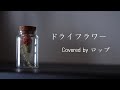 『ドライフラワー』歌ってみた　ロップ