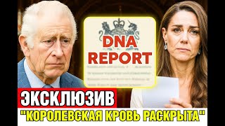 видео: 5 МИНУТ НАЗАД Принцесса Кэтрин разрыдалась после того, как ДНК-тест подтвердил последнюю тайну Дианы картинка: 5 МИНУТ НАЗАД Принцесса Кэтрин разрыдалась после того, как ДНК-тест подтвердил последнюю тайну Дианы