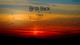 Bird Back - Leevi9 (1 Hour) "NOSTALGIA"