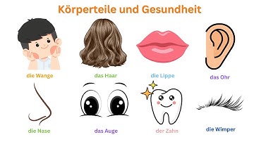 100 từ vựng về chủ đề Bộ phận cơ thể và Bệnh tật | 100 Vokabeln zum Thema Körperteile und Gesundheit