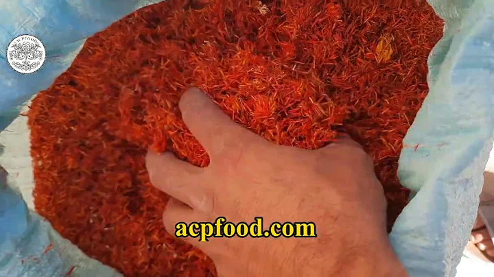 Safflower Wholesaler, Supplier, Provider and Exporter. Carthamus tinctorius flower and seed for sale