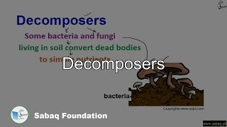 Decomposers, General Science Lecture | Sabaq.pk