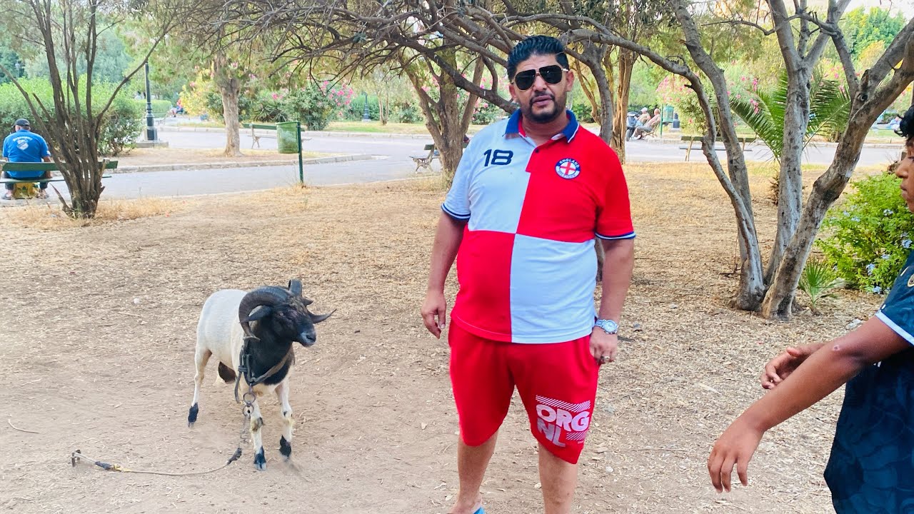 احتكار الرادسة في هذا مخزن 🤯