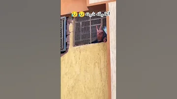 الضيقه شينه فرجها يا مولاي علينا وربي يفك الضيقه عليه ولد عمي هون ان شاء الله يا غالي 