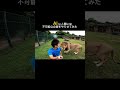 AIに人間には不可能な企画やらせてみた #コントチャンネル #笑える #ai動画