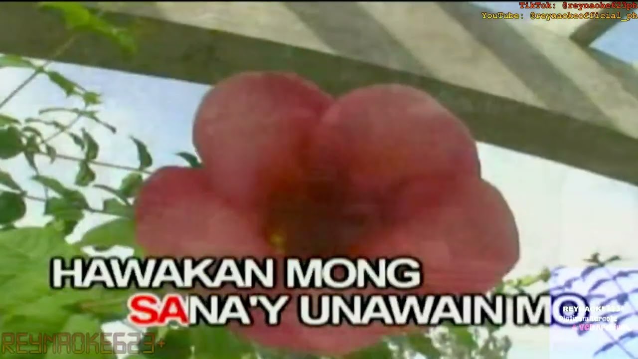 14. Di Na Mag-Iisa | OPM Gold Series: Regine Velasquez | Able Music