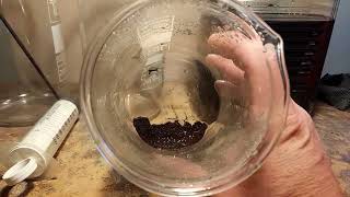 Gold from Costume Jewelry AD Fast and Economical Method Good Yield