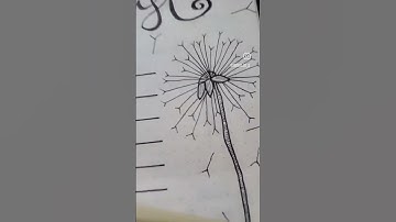 bullet journal wishlist #bujolove #bulletjournal #bujoideas