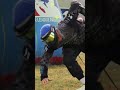 Dive in the snake with Pro DNA Athlete #paintballing