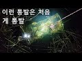 게 통발 !! 이런 통발은 처음  입니다