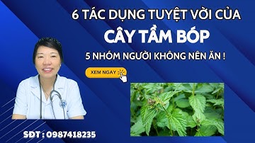 CÂY TẦM BÓP : 6 TÁC DỤNG TUYỆT VỜI ĐỐI VỚI SỨC KHOẺ VÀ 5 NHÓM NGƯỜI KHÔNG NÊN ĂN