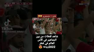 أجمل لقطات بنات  في كأس العالم في قطر 2022روعه 😍