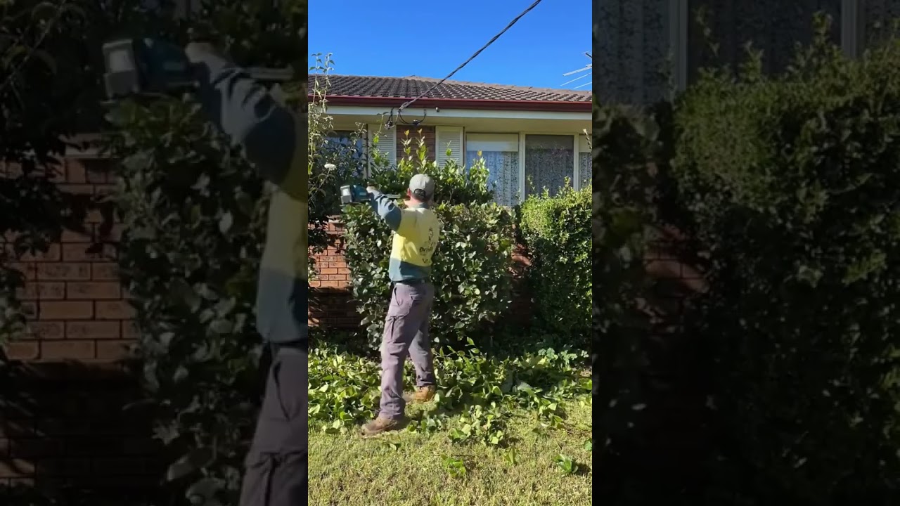 Clean Garden Lawn Edges and Sharp Border Trimming Transformation 🌿 | 