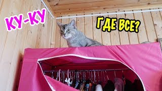 НОВЫЕ ПРЯТКИ В НАШЕМ ДОМЕ! HIDE AND SEEK IN MY HOUSE