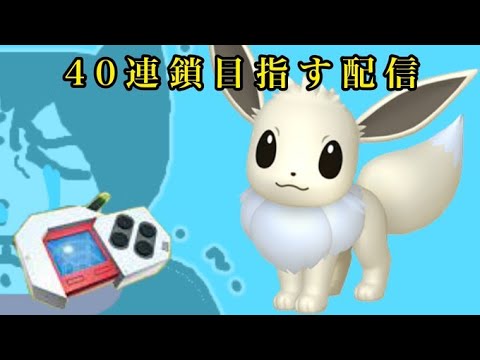 ポケモンbdsp ポケトレ40連鎖狙う ラッキーorイーブイ編 作業配信 Youtube