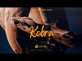 "Kobra" - Burna Boy x Asake x Seyi Vibez [ Amapiano x Afro Fusion Type Beat ]