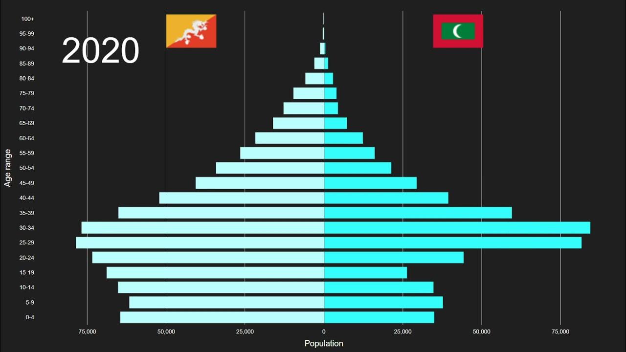 Bhutan vs Maldives Population Pyramid 1950 to 2100 YouTube