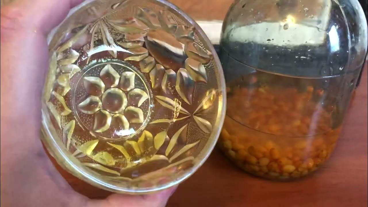 Настойка на облепихи высший класс - YouTube