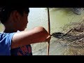 Amazing Two boys Using Bow To Fishing 101% Shoot Big Fish ACCURACY - Smart Boys Fishing In Cambodia