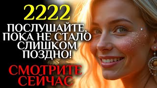 :  -    ,      - 2222