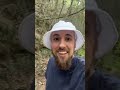 Pigmalión, el artista que se enamoró de algo que no existía - Mitología Griega