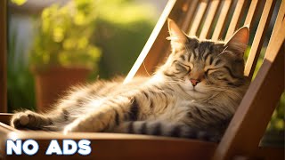 12 Hours Cat Healing Music Soothing Sounds for Deep Relaxation And Sleep With Soothing Piano Sound