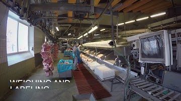 Frontmatec Control Systems | Cutting