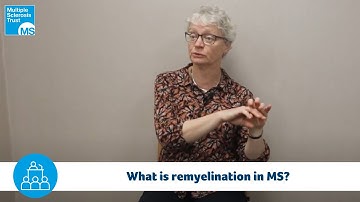 What is remyelination in MS?