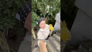 Дача день 11. Плюс еще одна освоенная профессия