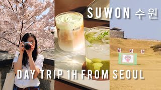 🇰🇷 Spring in Korea 🌸 why you should go outside of Seoul & UNESCO | Day Trip to Suwon by adaysophie 8,368 views 2 years ago 19 minutes