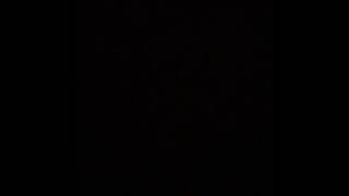 The Backyardigans News Flash Instrumental Audio