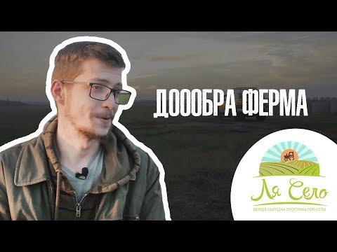 "Доообра ферма" на Київщині: виробництво сирів зсередини