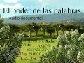 EL PODER DE LAS PALABRAS. Audio documental.