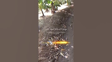 قرآن كريم بصوت جميل جدا جدا