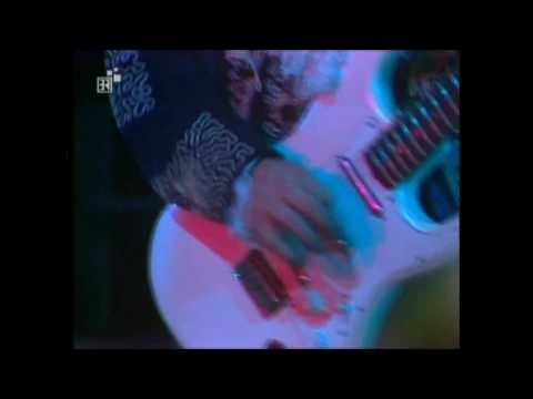 STEVIE RAY VAUGHAN - tin pan alley - Munich 1984 (HD)