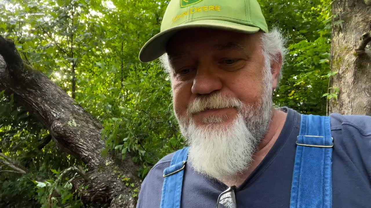 Big White Oak Tree Fell Across My Road | Homestead Problems - YouTube
