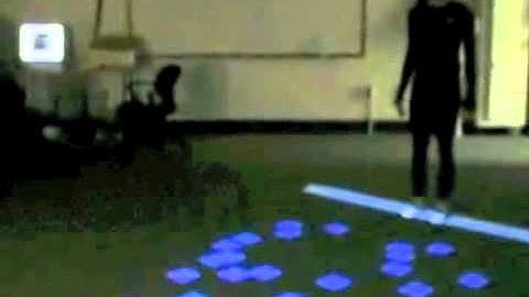 Visual control of foot placement when walking in rough terrain