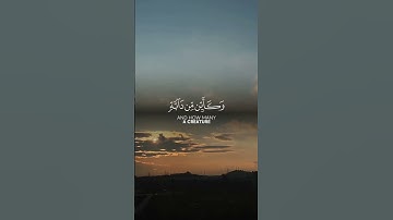 الَّذِينَ صَبَرُوا وَعَلَىٰ رَبِّهِمْ يَتَوَكَّلُونَ 🤍#عبدالرحمن_مسعد #سورة_النحل #quran #اكسبلور