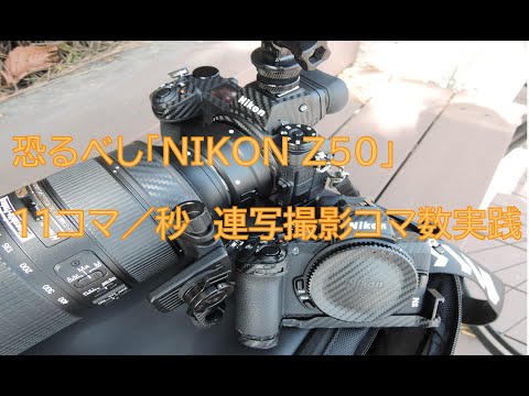 [#154]NIKON Z50 11コマ/秒連写撮影コマ数実践してみた。
