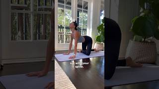 Make Cat Cows More Fun